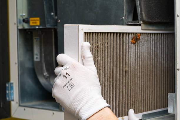 Best Dryer Vent Cleaning Services  in Panhandle, TX